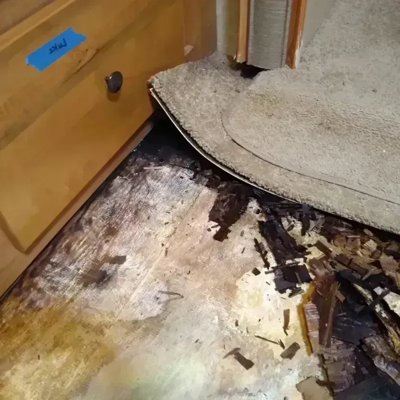 Wood Floor Water Damage in Ellicott City, MD